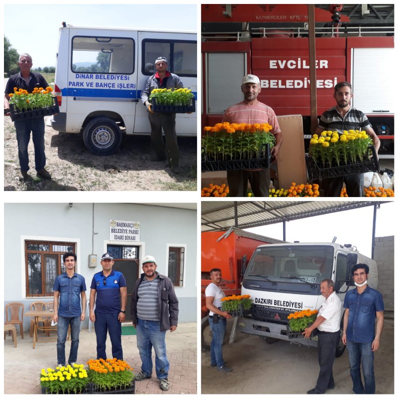 SANJET A.Ş. ÇEVRE BELEDİYELERE ÇİÇEK DAĞITIMI GERÇEKLEŞTİRDİ